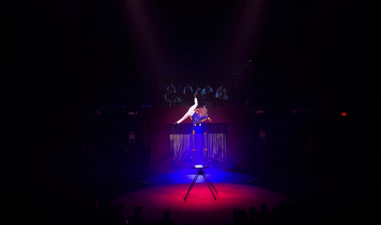 Aerialist and Hand Balancer | Altus Entertainment