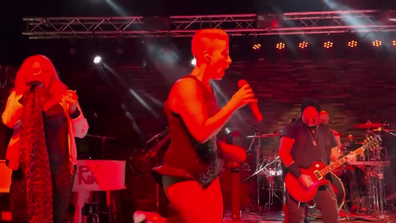 Pink Tribute Band | Altus Entertainment