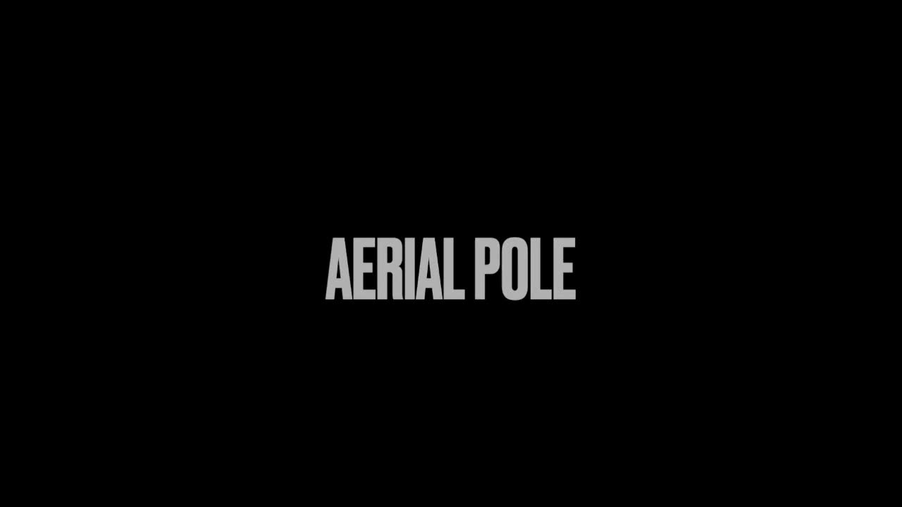 Las Vegas Elite Aerial Pole Act | Altus Entertainment
