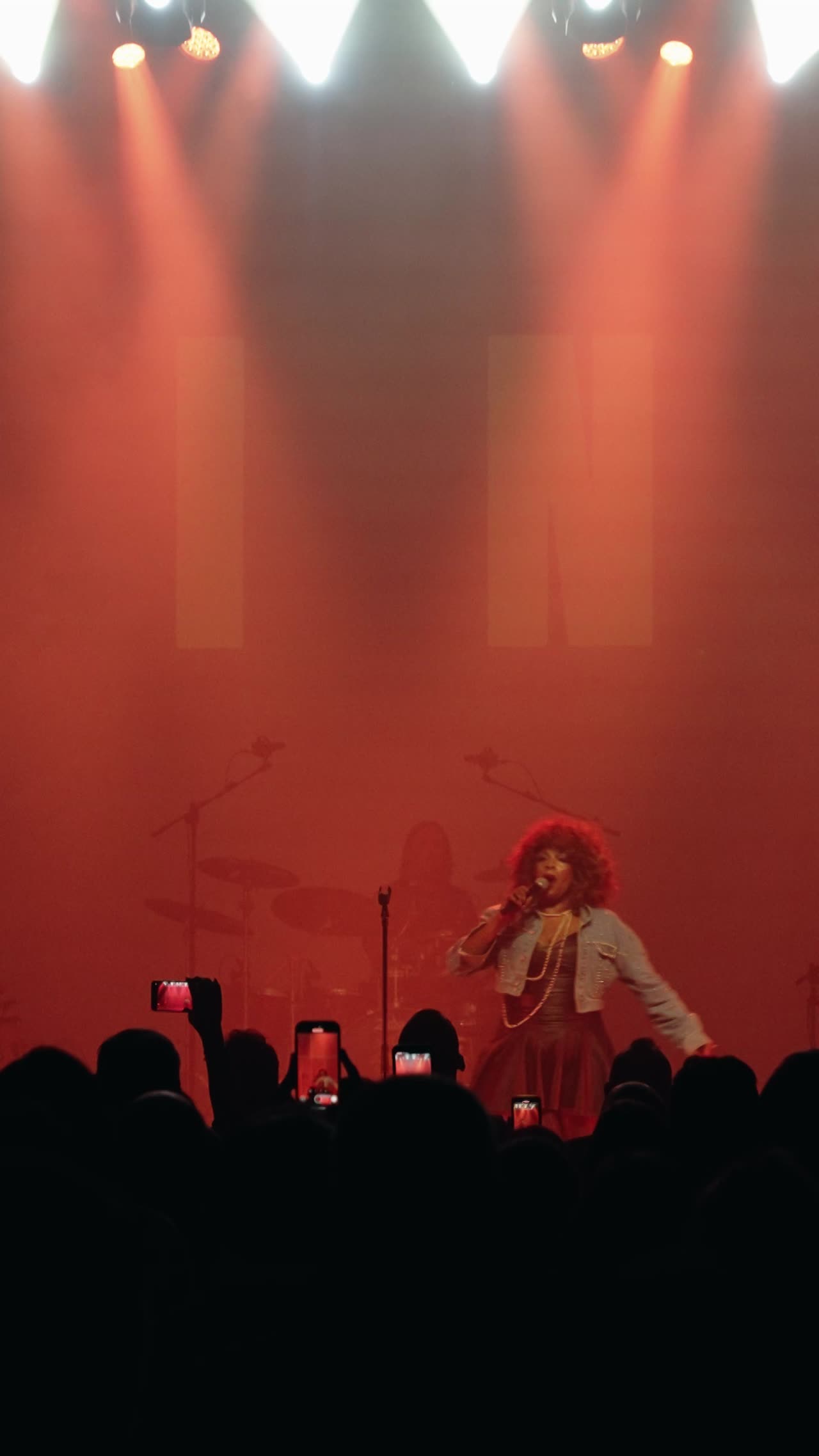 Tina Turner Tribute Portugal | Altus Entertainment