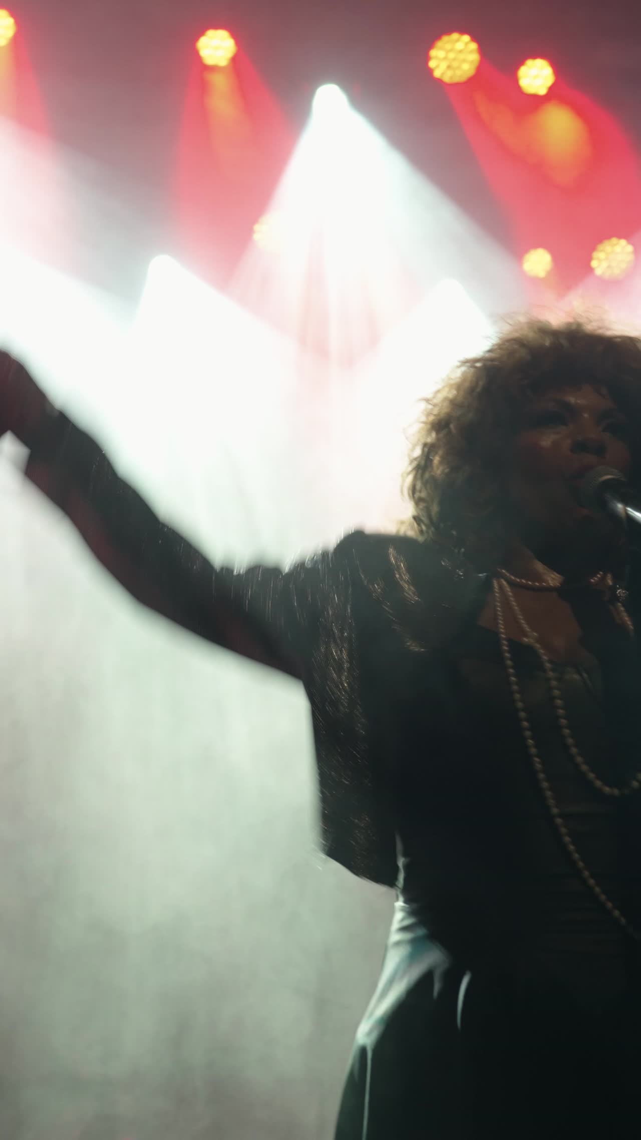 Tina Turner Tribute Portugal | Altus Entertainment