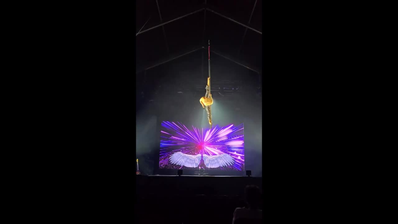 Elite Acrobatic Pole Performer Germany | Altus Entertainment