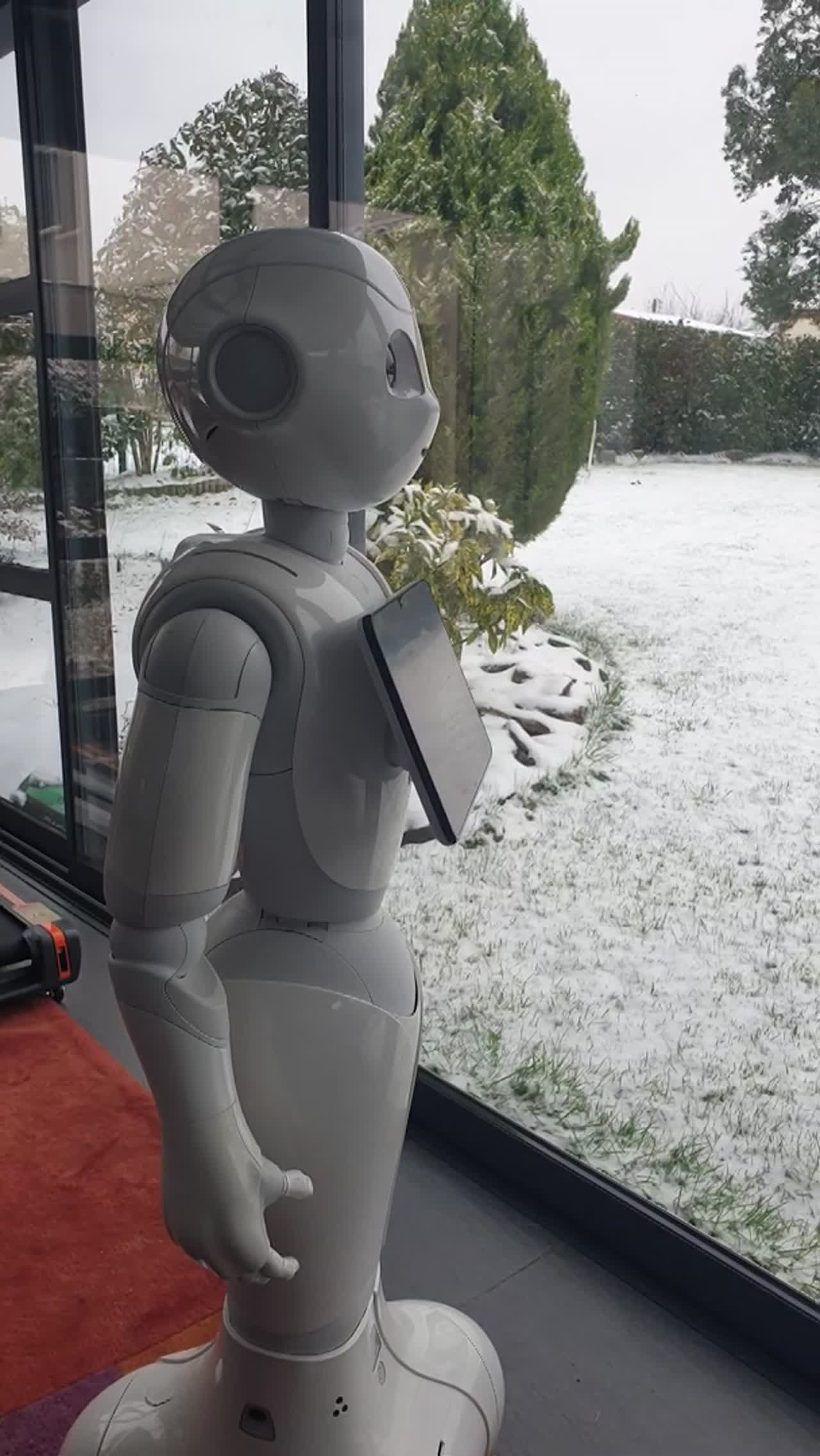 Talking Humanoid Robot | Altus Entertainment