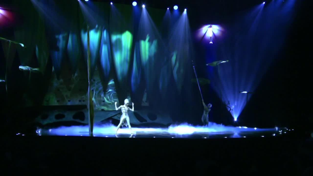 Boston Aerial Straps Duo | Altus Entertainment