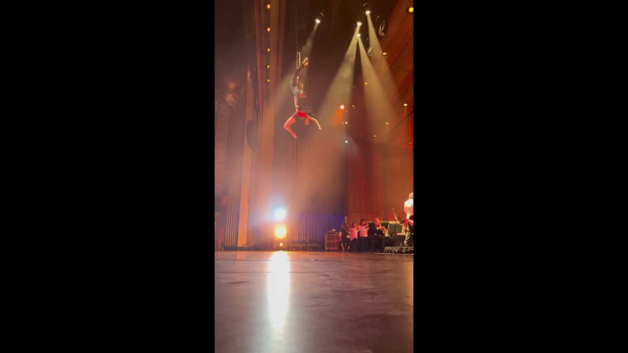 Boston Aerial Straps Duo | Altus Entertainment