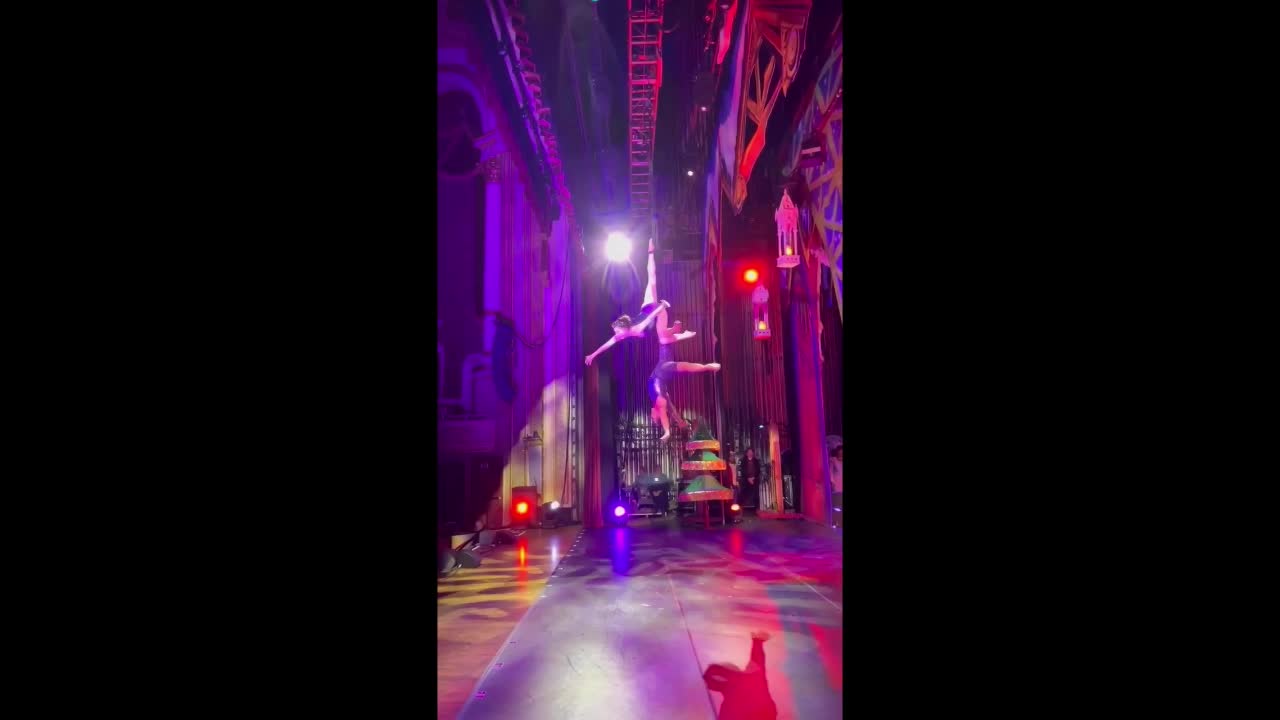 Boston Aerial Straps Duo | Altus Entertainment