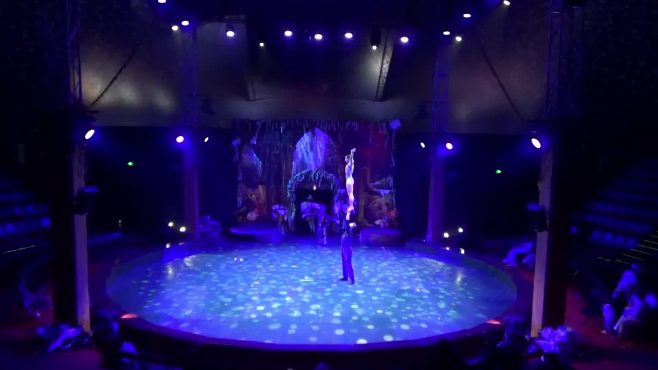Acrobatic Duo Massachusetts | Altus Entertainment