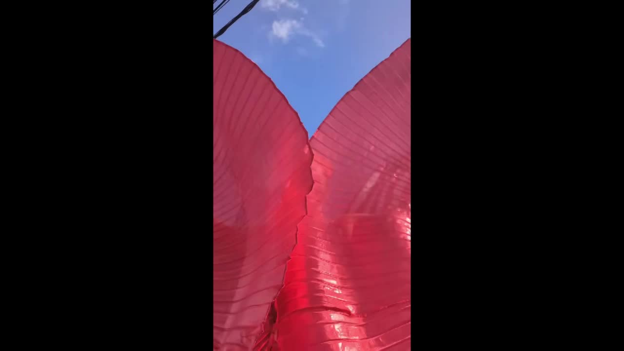 Stilt Walking LED Hoop Performer | Altus Entertainment