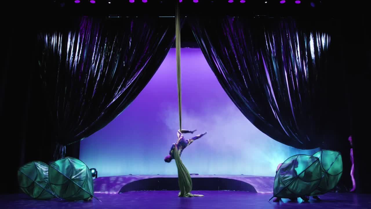 Aerial Silk Performer Florida | Altus Entertainment