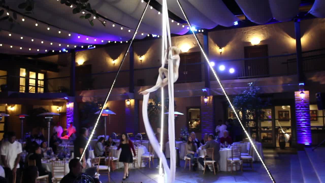 Stunning Silk Aerialist Performers | Altus Entertainment