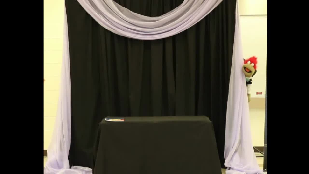 Puppet Show for Parties | Altus Entertainment