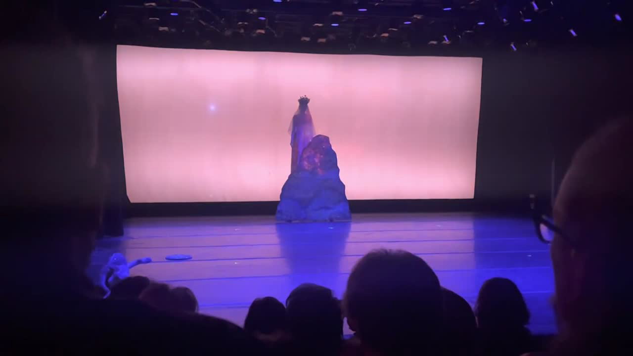 Custom Corporate Show Opening Performances | Altus Entertainment