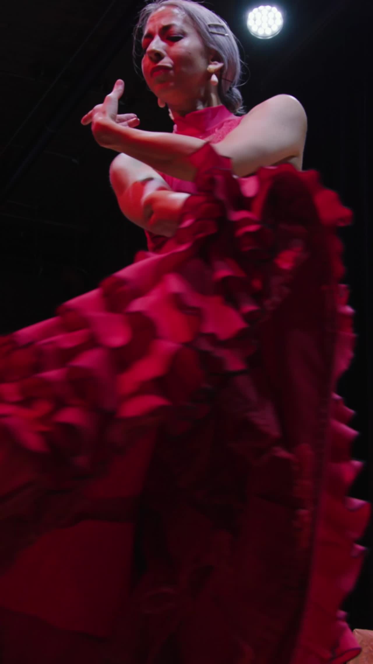 Flamenco Dancers and Musicians | Altus Entertainment