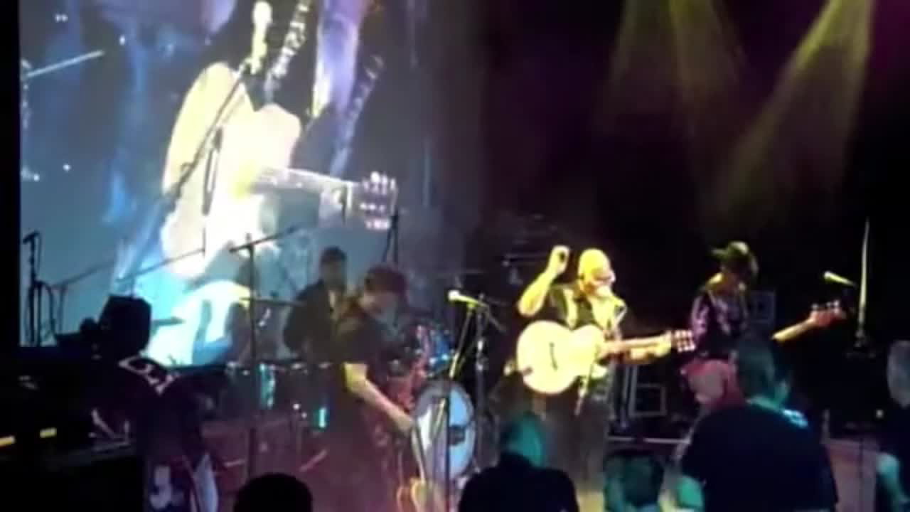 Punk Rock Guitarist and Singer | Altus Entertainment