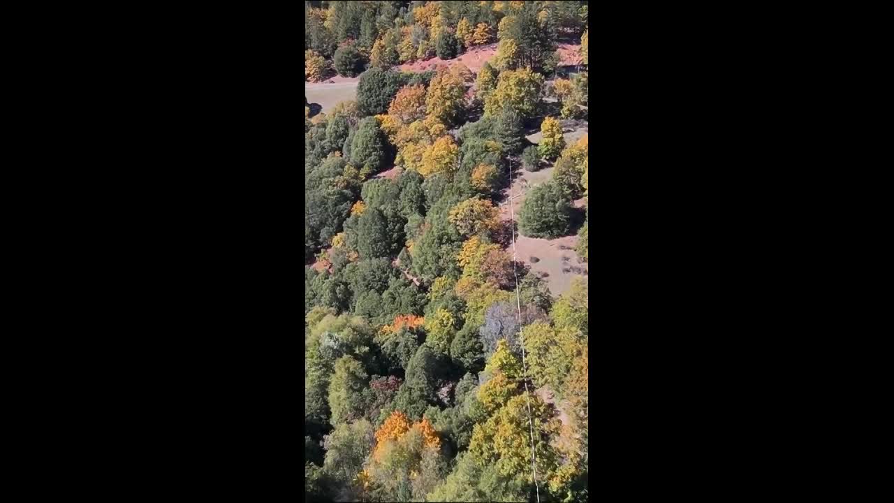 Outdoor Tightrope Aerialists | Altus Entertainment