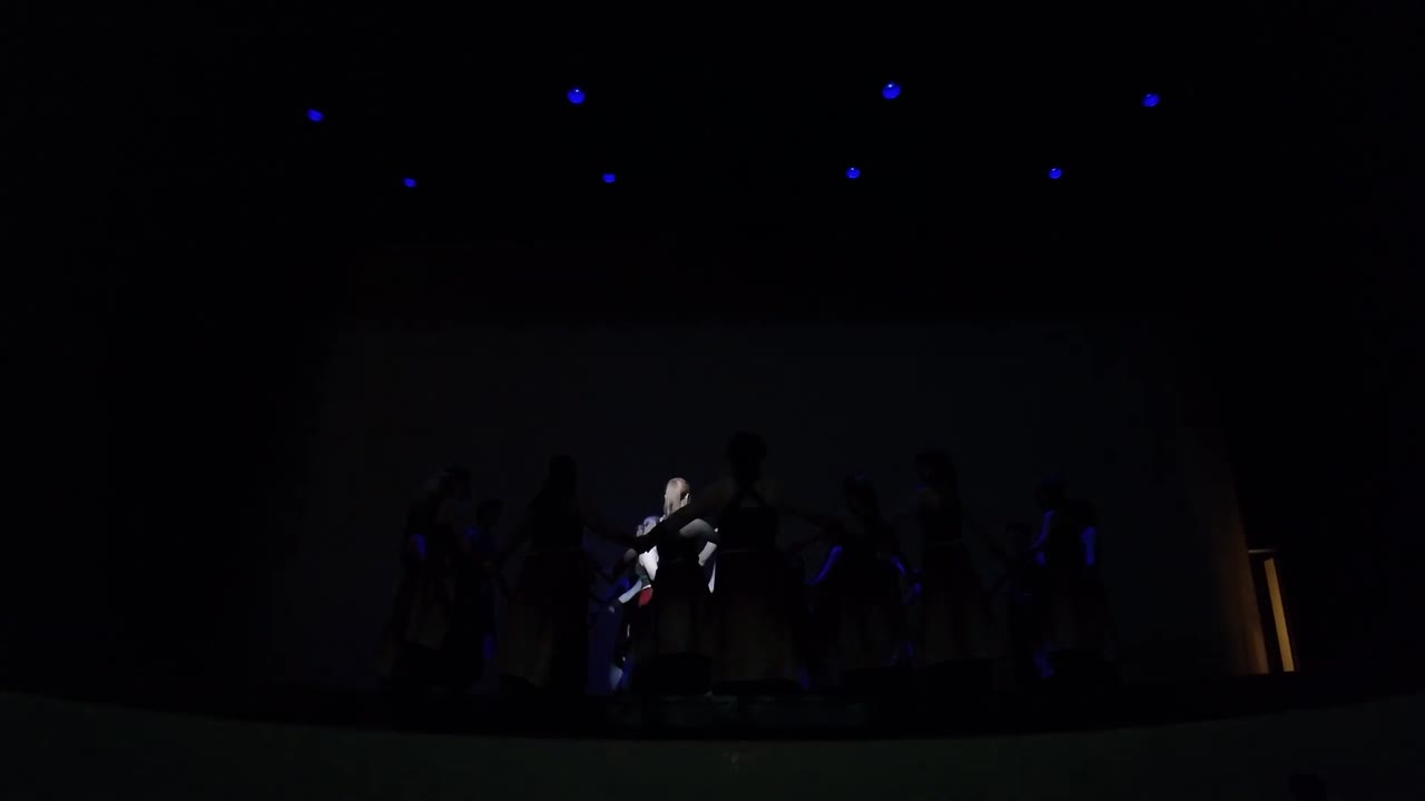Kyoto Cultural Dancers | Altus Entertainment