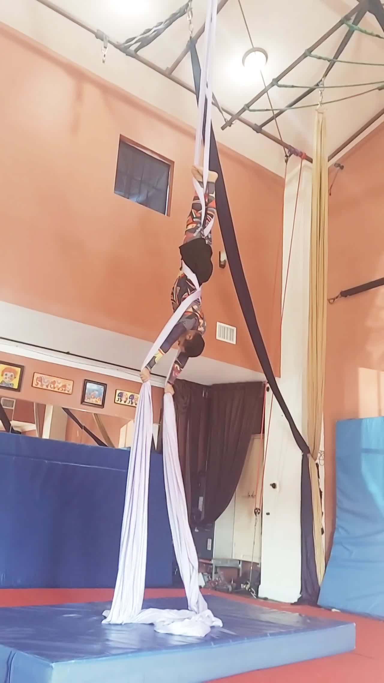 Male Aerialist and Gymnast | Altus Entertainment