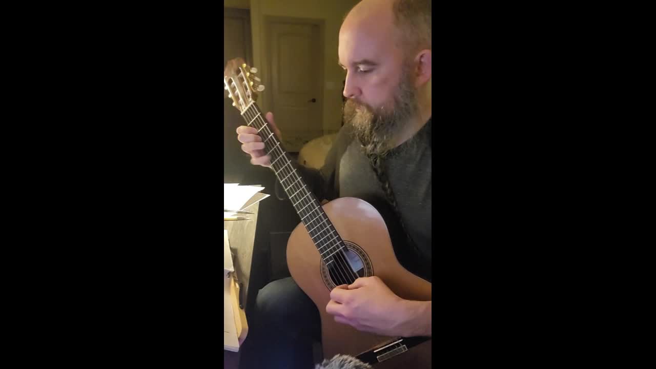 Las Vegas Classical Guitarist | Altus Entertainment