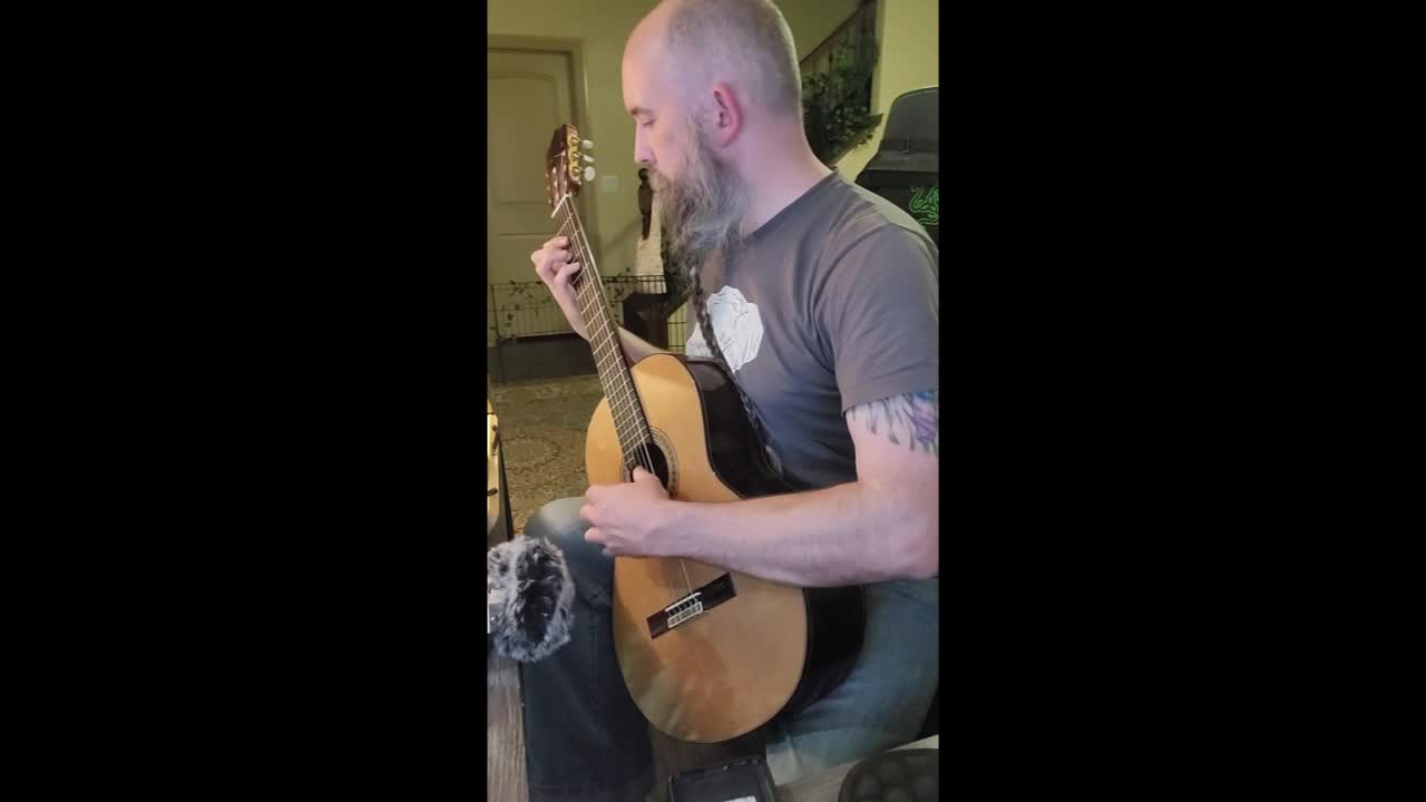 Las Vegas Classical Guitarist | Altus Entertainment