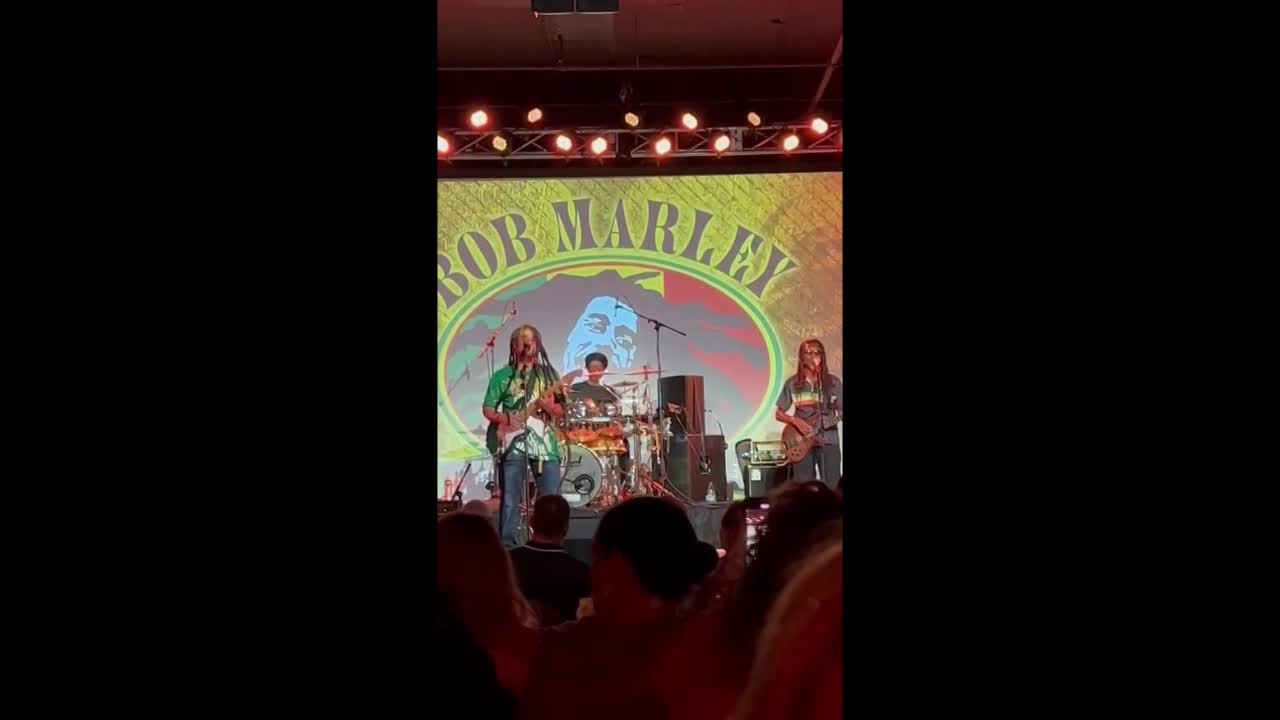 Bob Marley Tribute Band Florida | Altus Entertainment