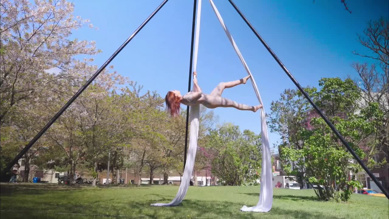 Versatile Aerialist  Los Angeles | Altus Entertainment