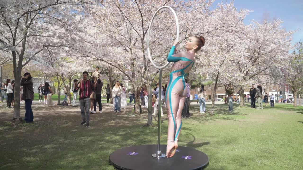 Versatile Aerialist  Los Angeles | Altus Entertainment