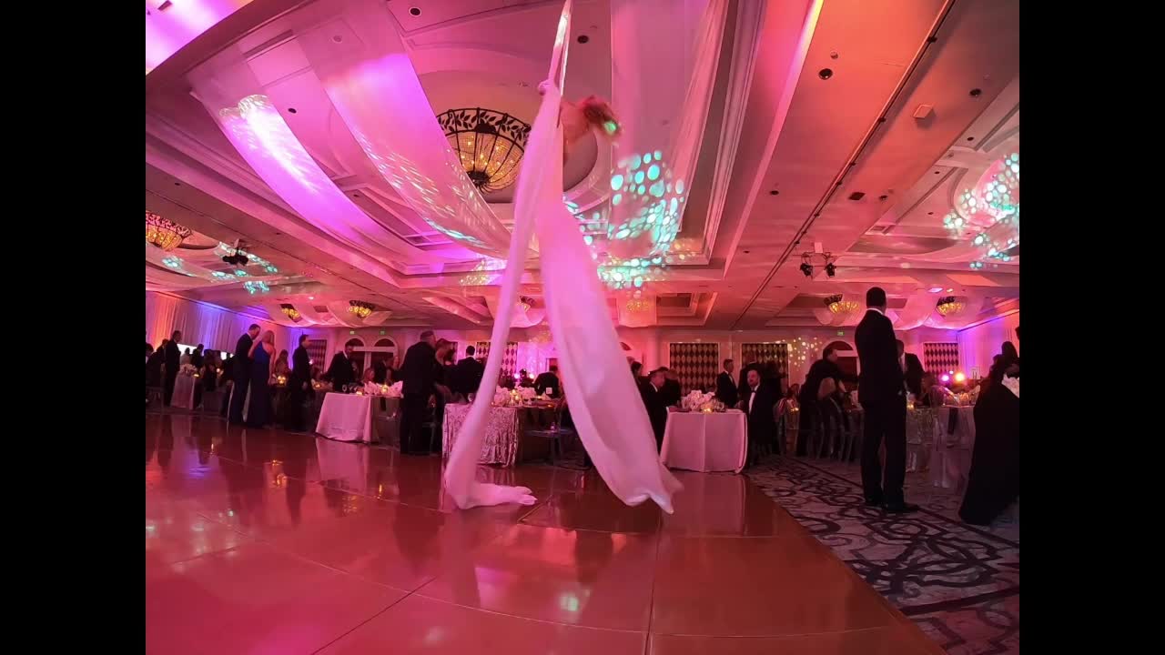 Aerialist Acts for Events | Altus Entertainment