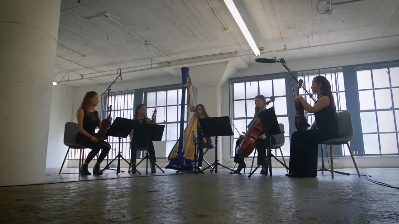 Los Angeles-Based String Quartet | Altus Entertainment