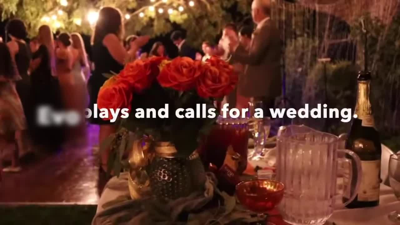 Multitalented String Player | Altus Entertainment
