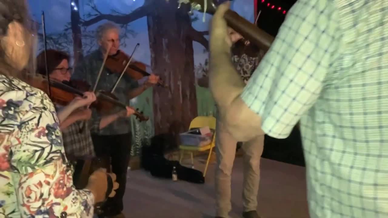 Multitalented String Player | Altus Entertainment