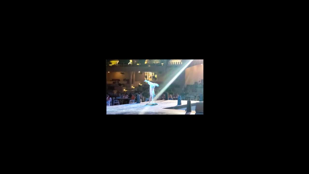 Handbalancing Act Ukraine | Altus Entertainment