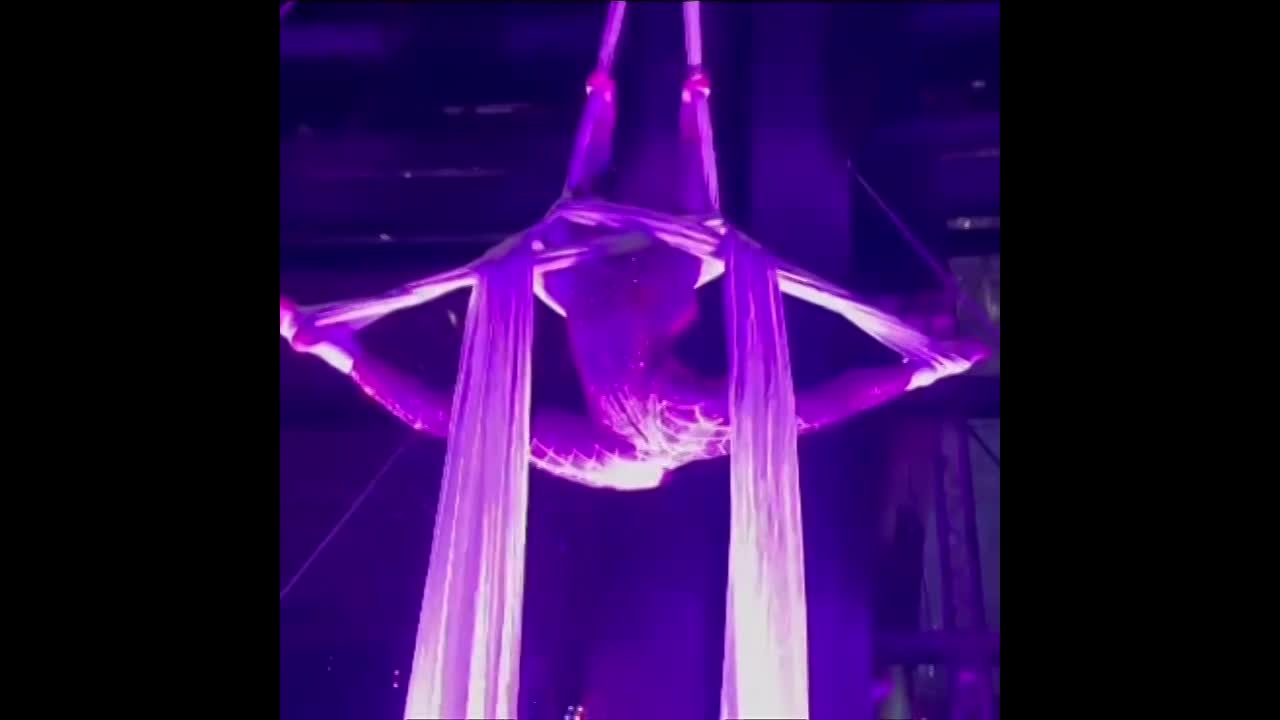 Aerial Silks Act Las Vegas | Altus Entertainment