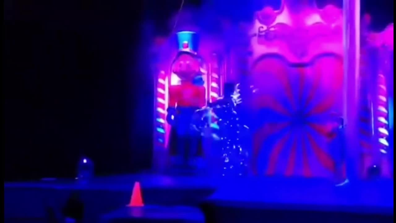 Aerial Silks Act Las Vegas | Altus Entertainment