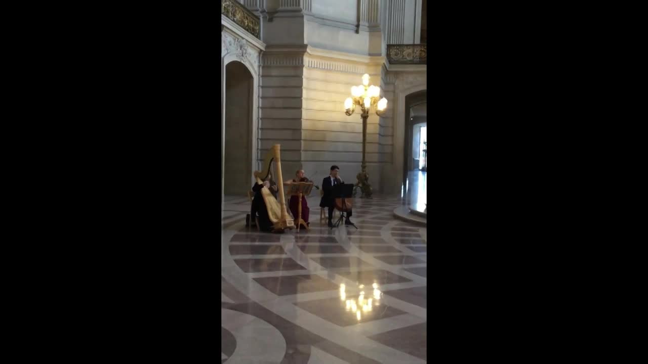 San Francisco Strings Trio | Altus Entertainment