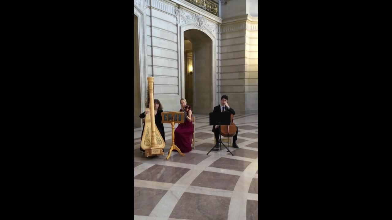 San Francisco Strings Trio | Altus Entertainment