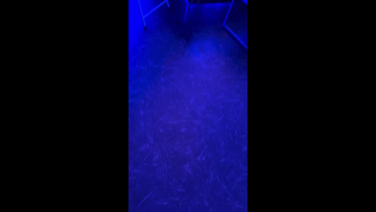 Event DJ Georgia | Altus Entertainment