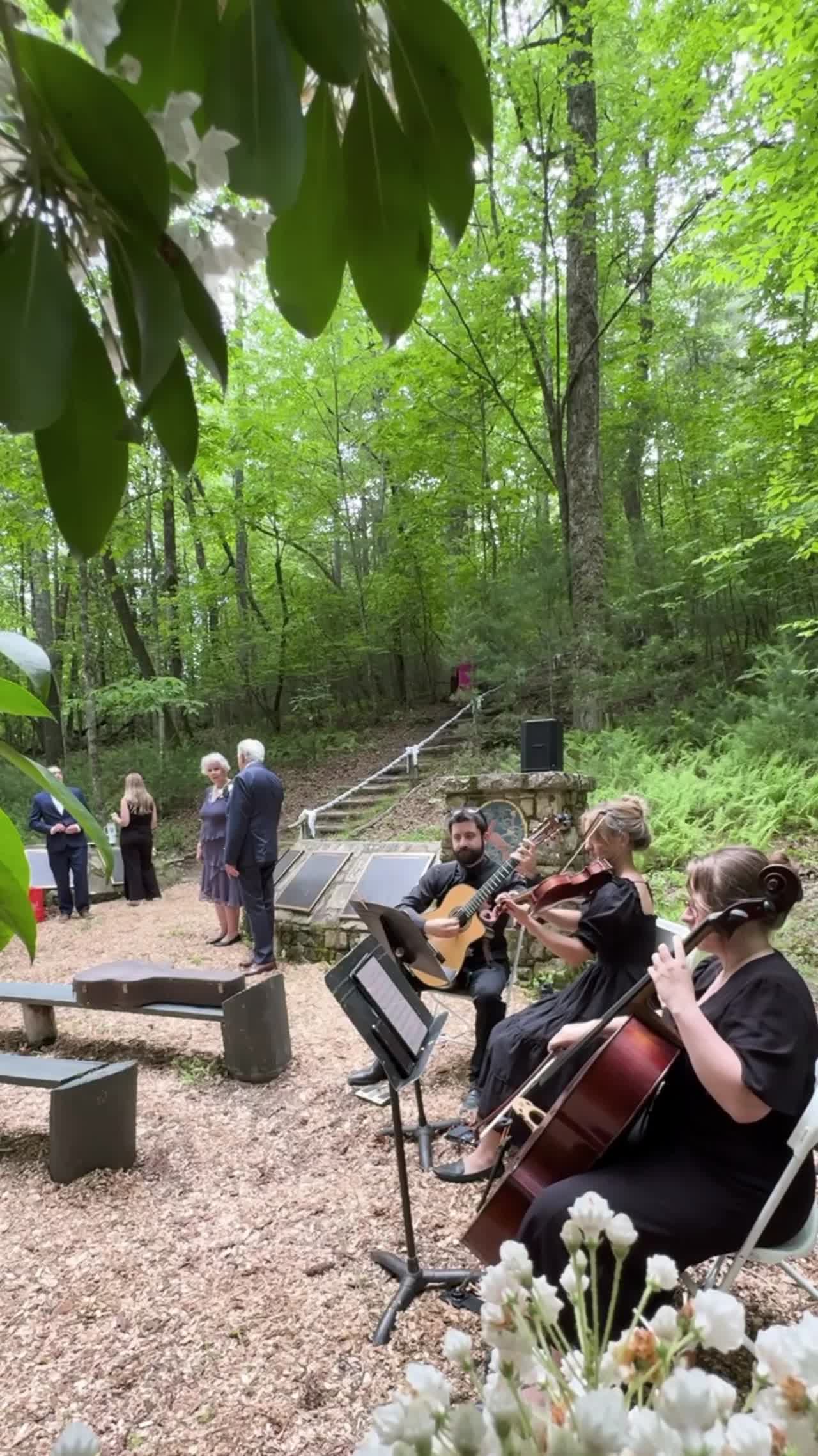 String Trios and Quartets | Altus Entertainment