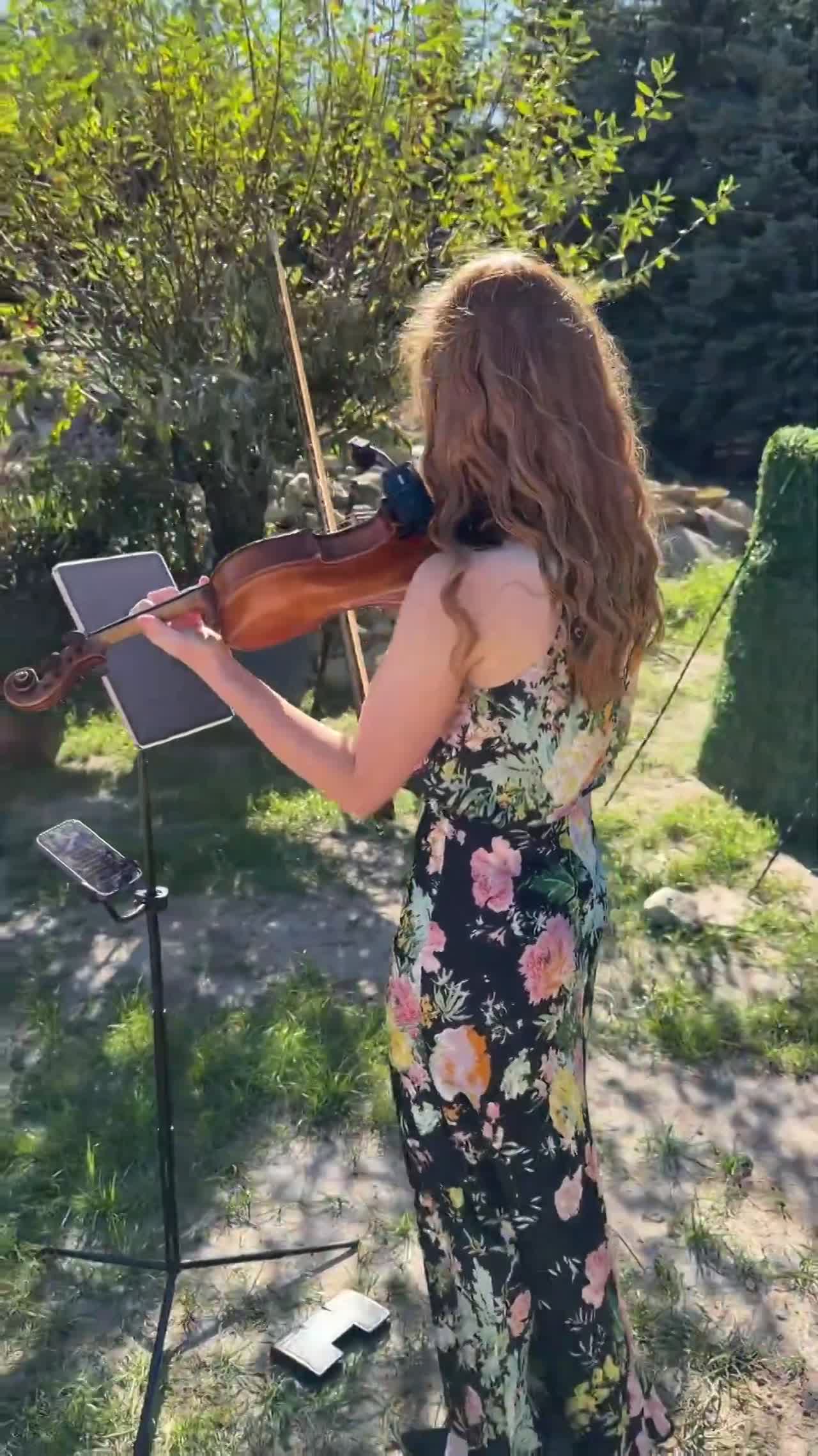 Michigan Solo Violinist | Altus Entertainment