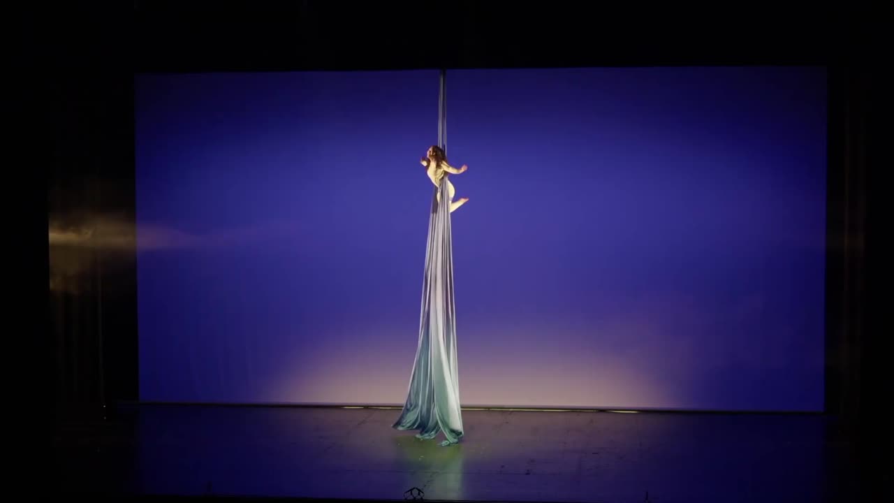 San Francisco Aerialist | Altus Entertainment