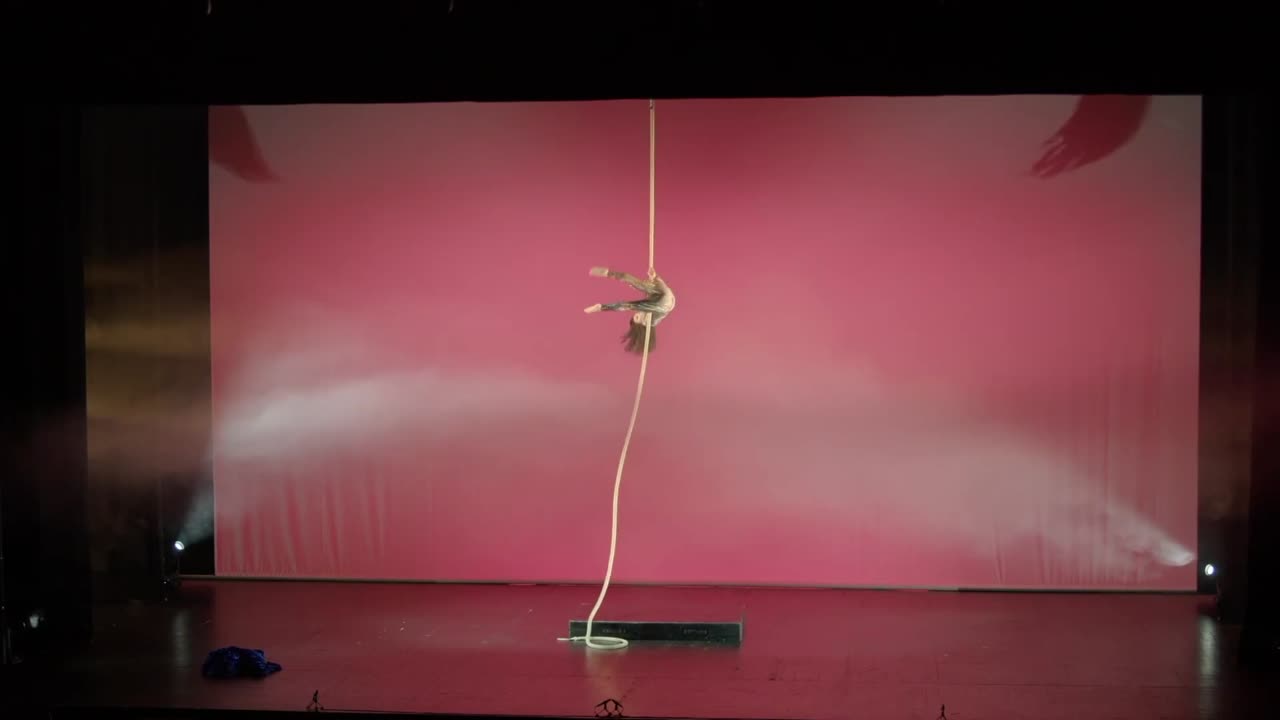 San Francisco Aerialist | Altus Entertainment